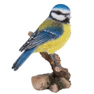 GF Blue Tit Small F