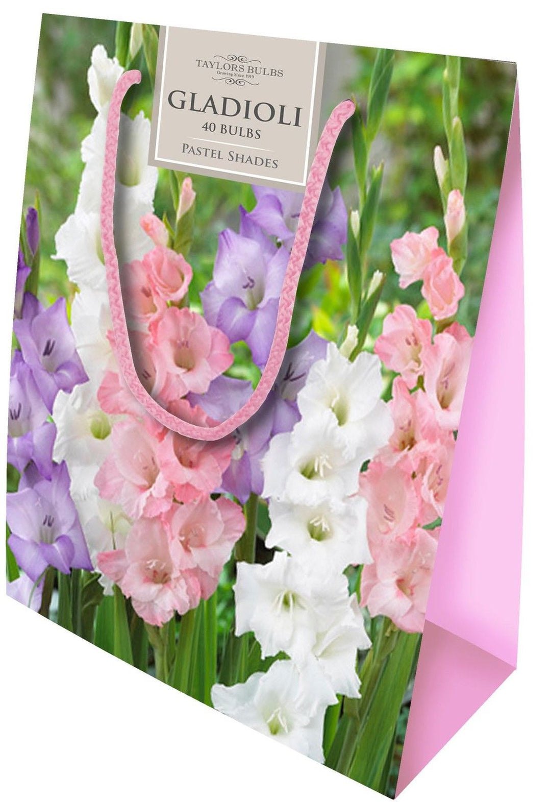 GLADIOLI GIFT BAGS  40