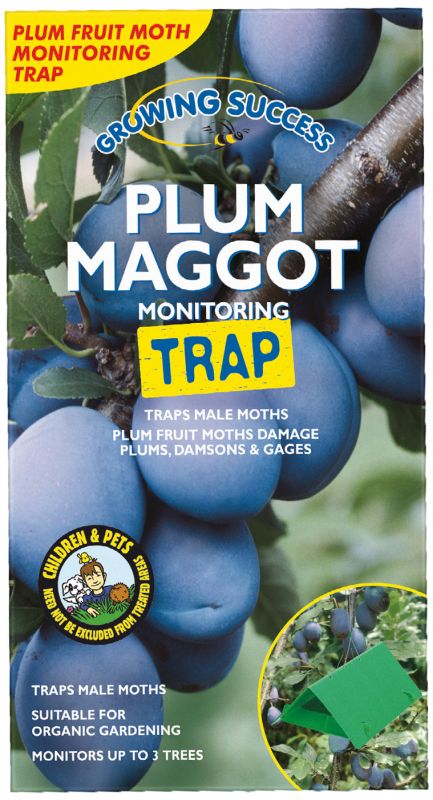 GS Plum Maggot Monitoring Trap