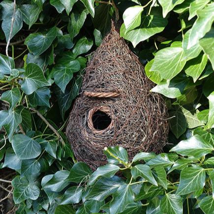 Giant Bird Nester/Roost Pocket