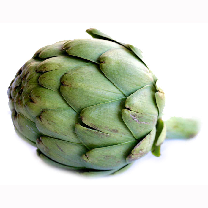 Globe atichoke