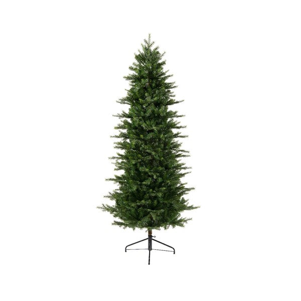 Grandis Slim Fir Green - Christmas - Windyridge Garden Centre
