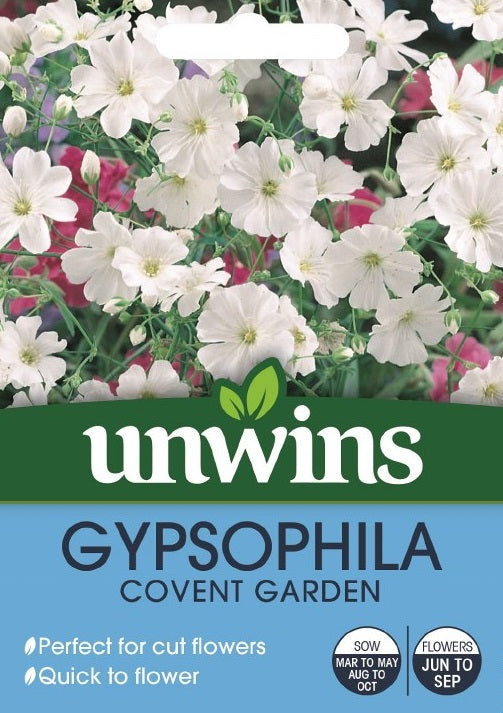 Gypsophila Covent Garden