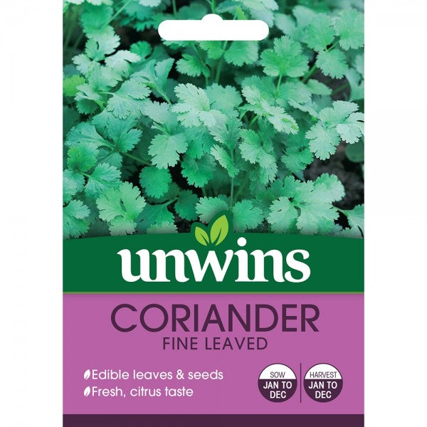 Herb Coriander Fine Leaved