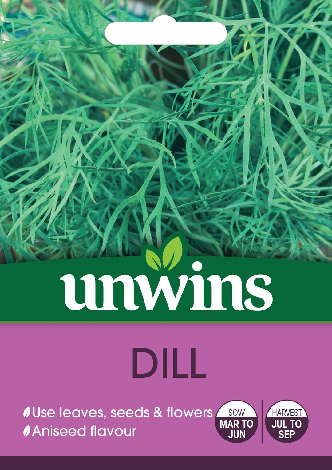 Herb Dill