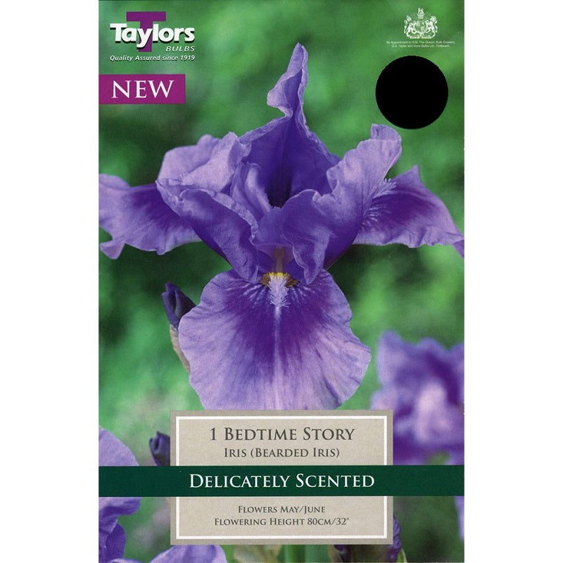 Iris Bedtime Story - Bulbs - Windyridge Garden Centre