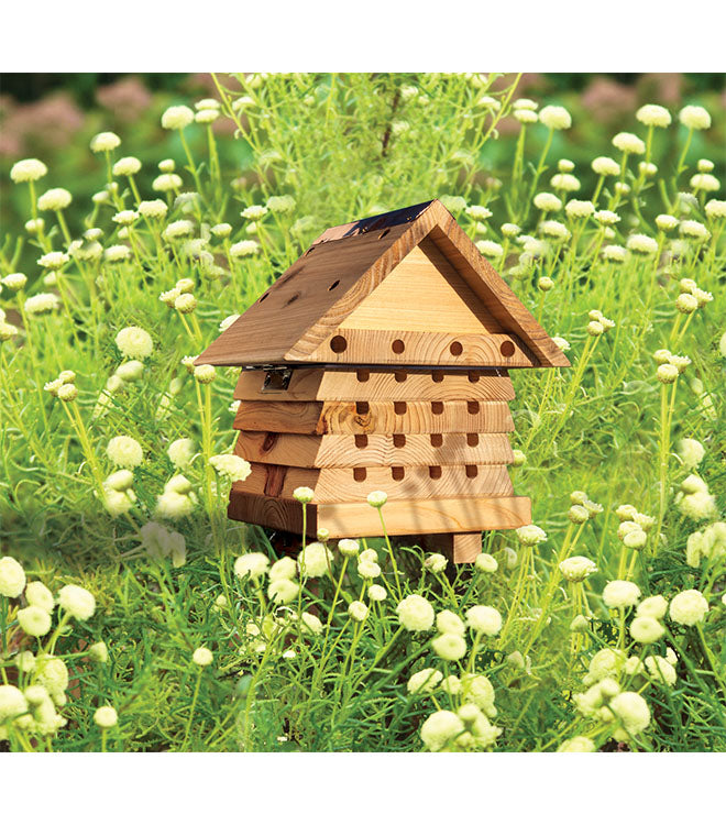 Interactive Solitary Bee Hive Flip Top