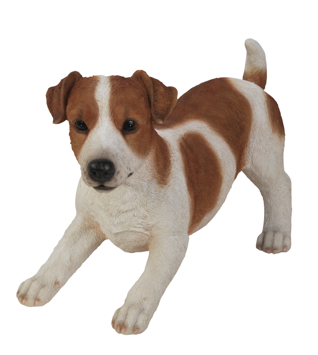 RL Jack Russell A