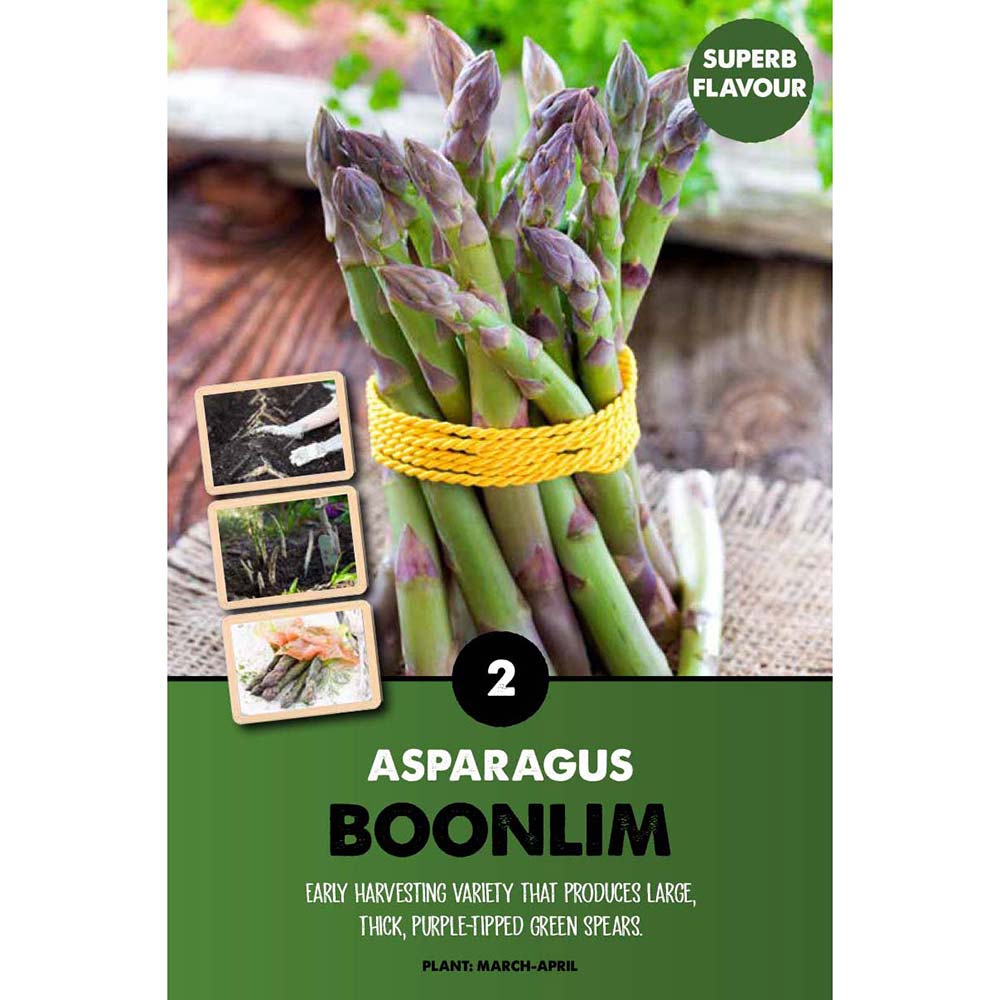 ASPARAGUS BOONLIM x2