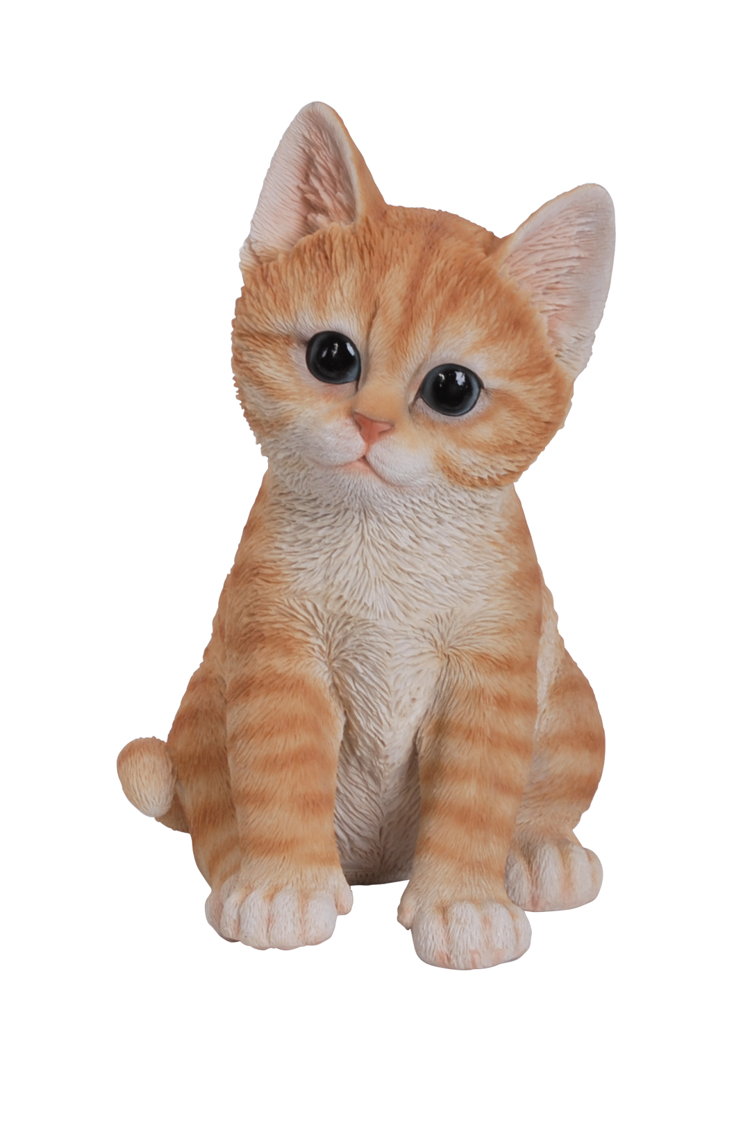 Pp Kitten Ginger F - Vivid Arts - Windyridge Garden Centre