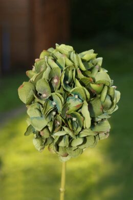 Hydrangea Dark Green Short Stem