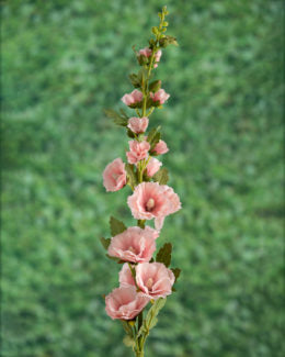 Artificial Hollyhock-Peach - Home & Living - Windyridge Garden Centre