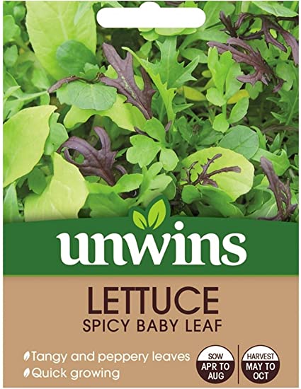 Lettuce (Leaves) Spicy Baby Leaf