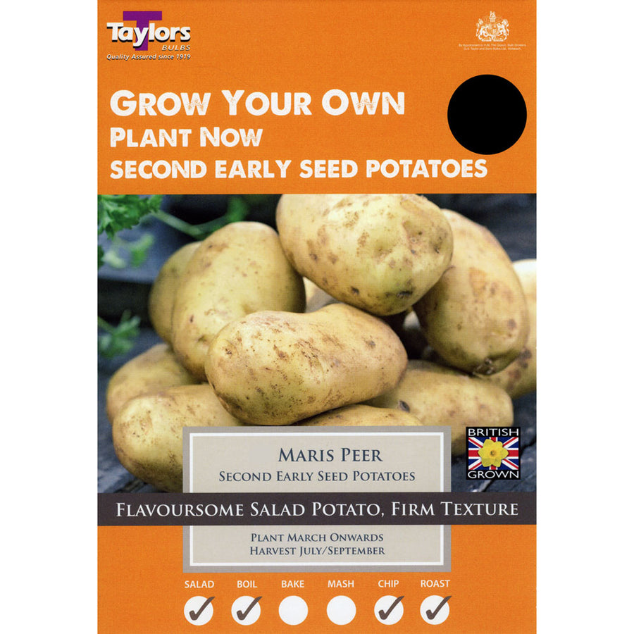 Seed Potato Maris Peer - Bulbs - Windyridge Garden Centre