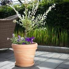 Marble Double Border 46X39Cm - Pots - Windyridge Garden Centre