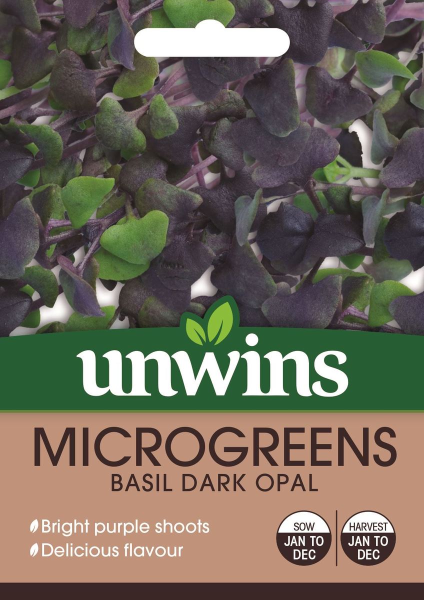 MicroGreens Basil Dark Opal