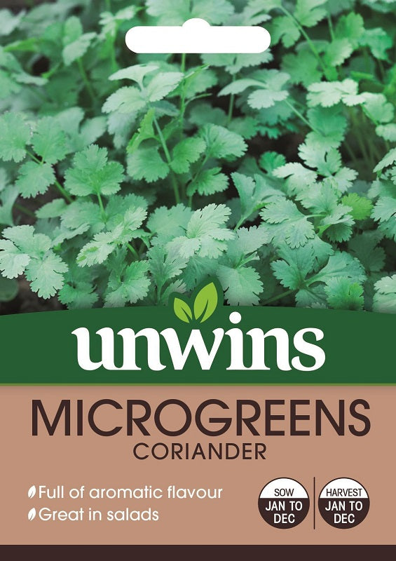 Microgreens Coriander