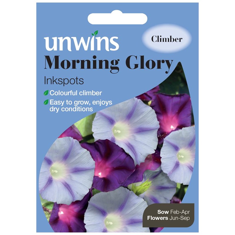 Morning Glory Inkspots