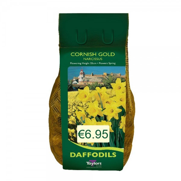 NARCISSUS CORNISH GOLD CARRI-PACK 1.5KG