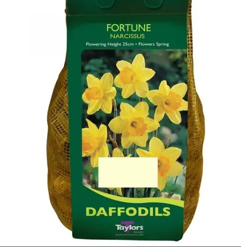 NARCISSUS FORTUNE CARRI-PACK 1.5KG