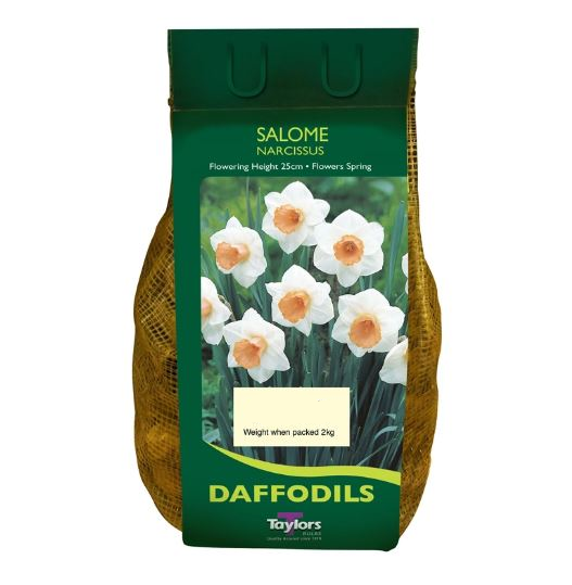 NARCISSUS SALOME CARRI-PACK 1.5KG