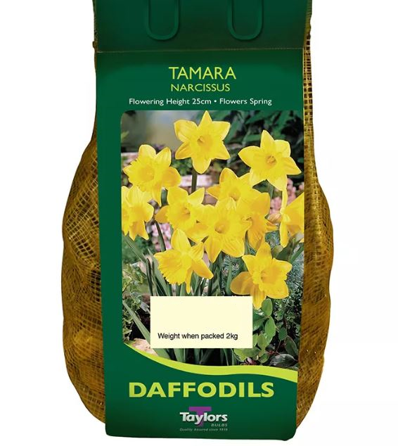 NARCISSUS TAMARA CARRI-PACK 1.5KG