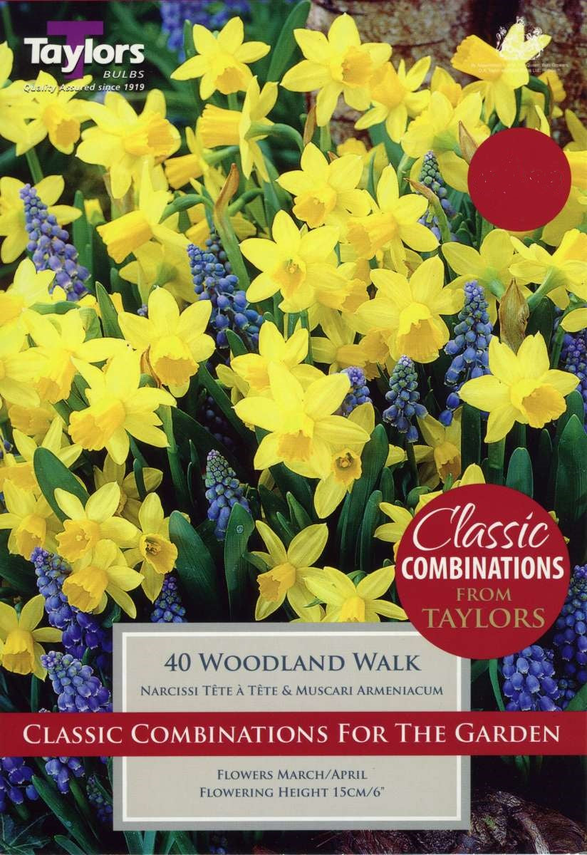 WOODLAND WALK 50