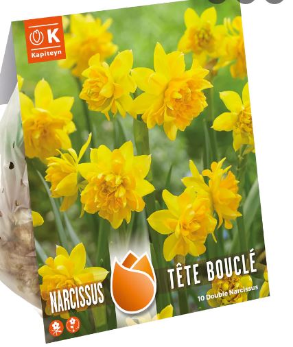 NAR BOTANICAL DOUBLE TETE BOUCLE 10 Bulbs