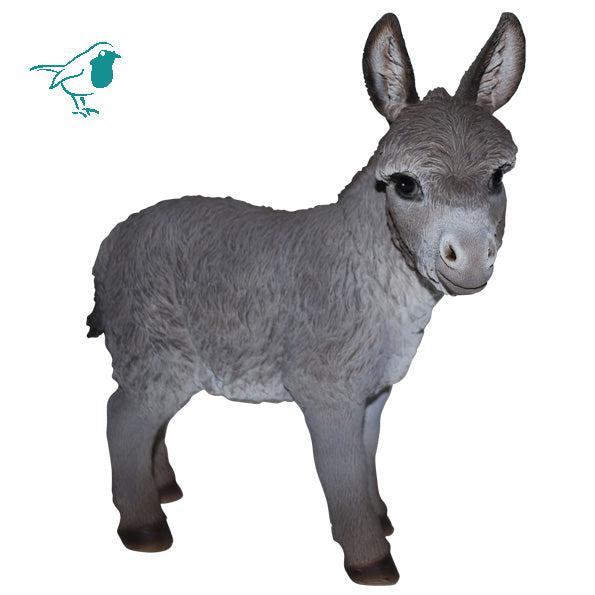 Rl Baby Donkey B - Vivid Arts - Windyridge Garden Centre