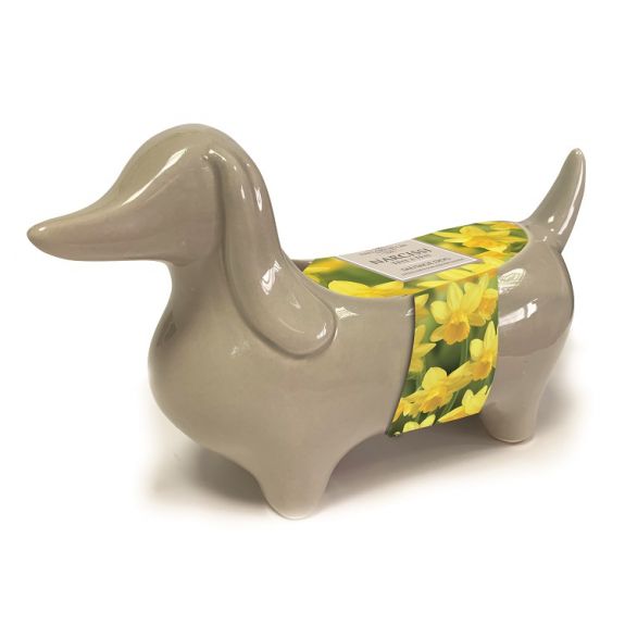 NOVELTY SAUSAGE DOG