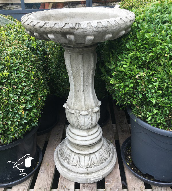 Parisian Birdbath - Bird Care And Wildlife - Windyridge Garden Centre