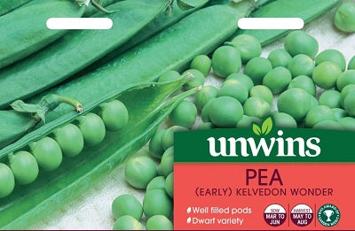 Pea (Early) Kelvedon Wonder