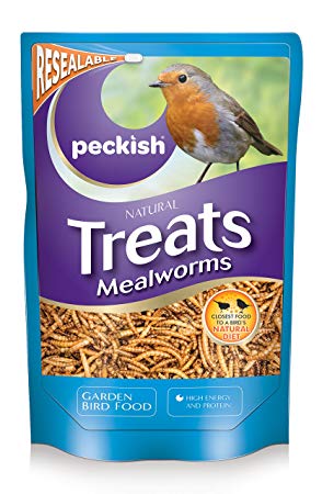 PK Mealworm 500g