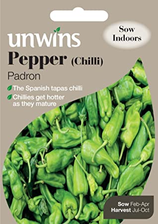 Pepper (Chilli) Padron