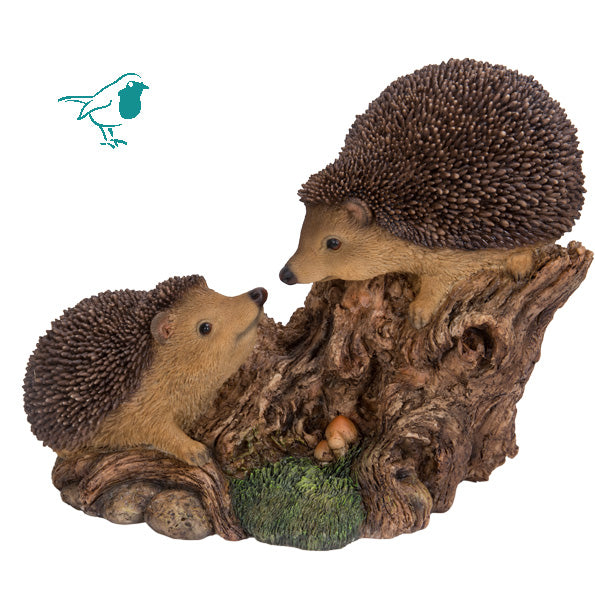 Playful Baby Hedgehogs B - Ornaments - Windyridge Garden Centre