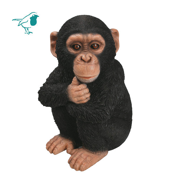 RL Baby Chimpanzee D