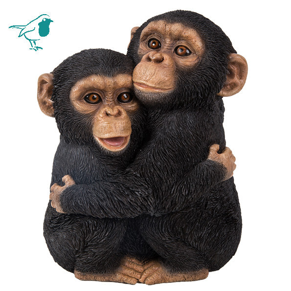 RL Hugging Chimps B