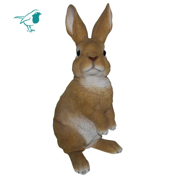 RL Lookout Rabbit C