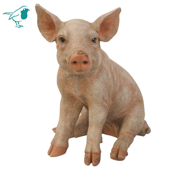 Rl Piglet D- Vivid Arts - Windy Ridge Garden Centre