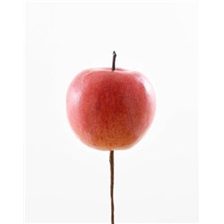 RUSSETT APPLE 60MM