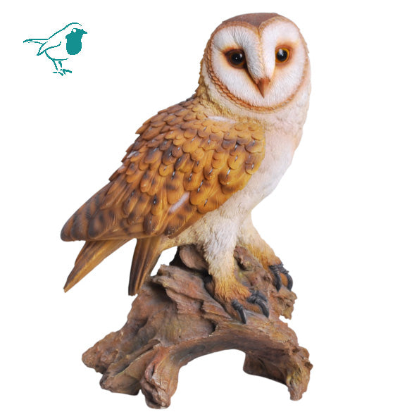 Real Life Barn Owl F