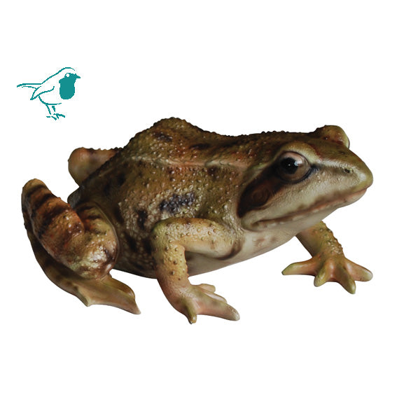 Real Life Frog F