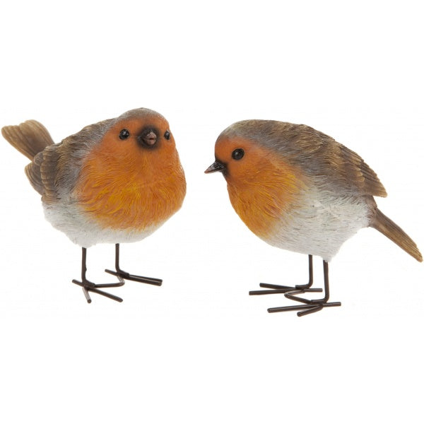 Robin