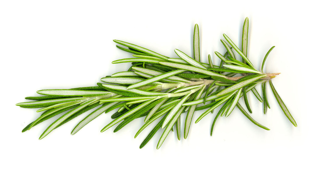 Rosemary