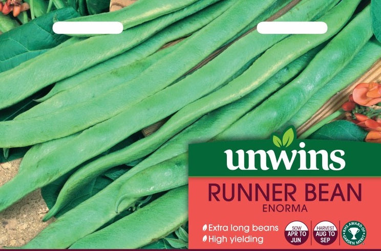 Runner Bean Enorma