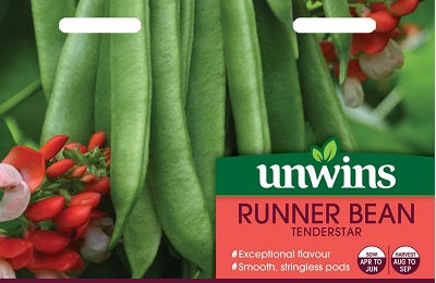 Runner Bean Tenderstar