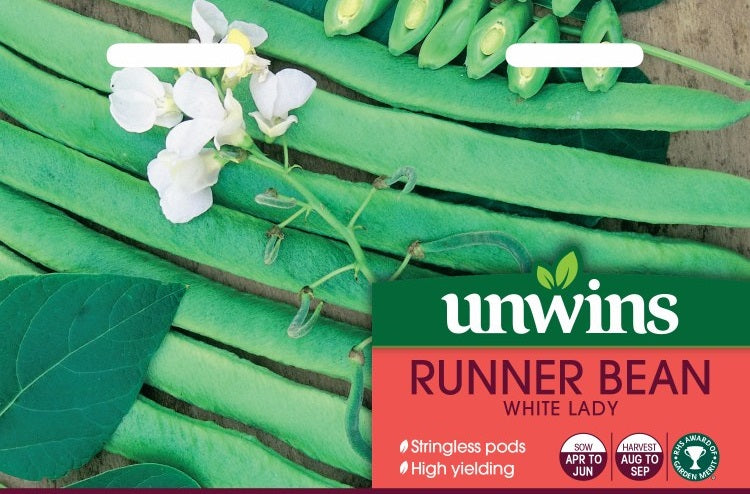 Runner Bean White Lady