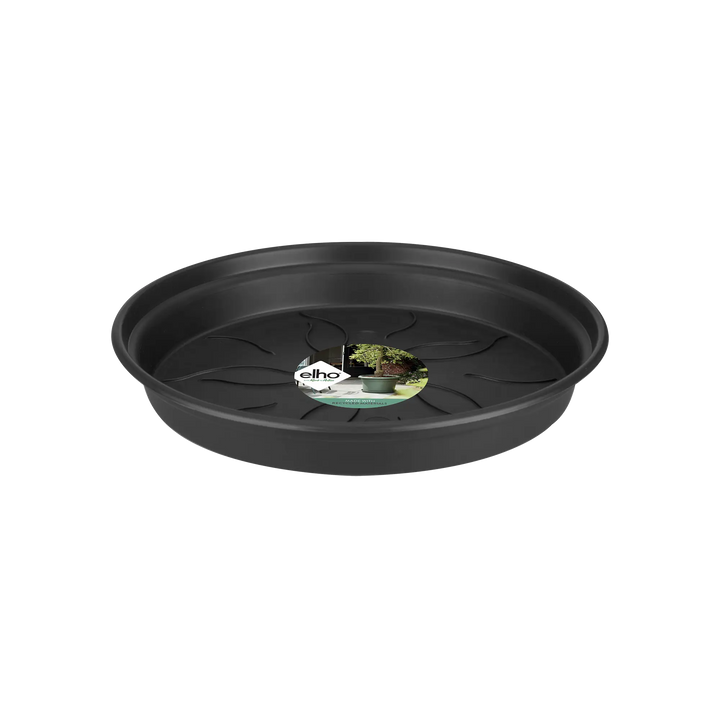 green basics saucer living black 10cm