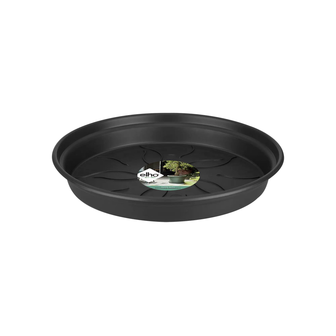 green basics saucer living black 10cm