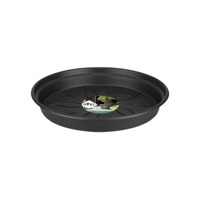 green basics saucer 17cm